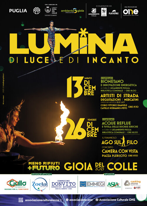 manifesto lumina 2025.jpeg