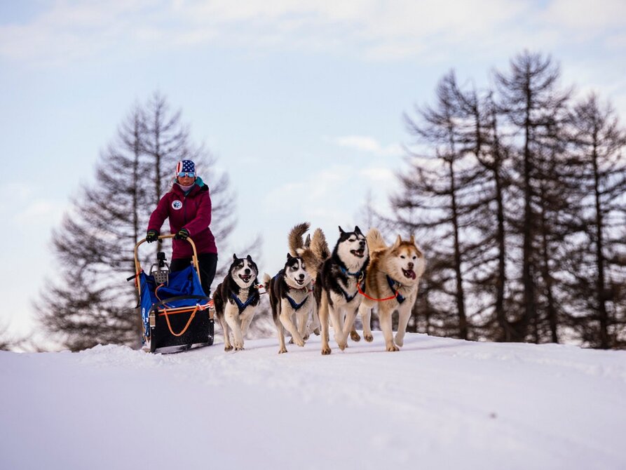 escursione-base-sestriere.jpeg escursione-base-sestriere.jpeg