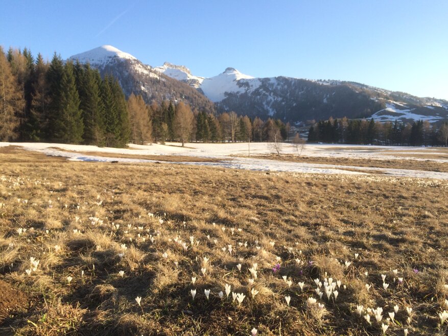 le Tre cime del bandone
