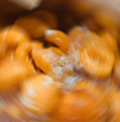 confettura di albicocche