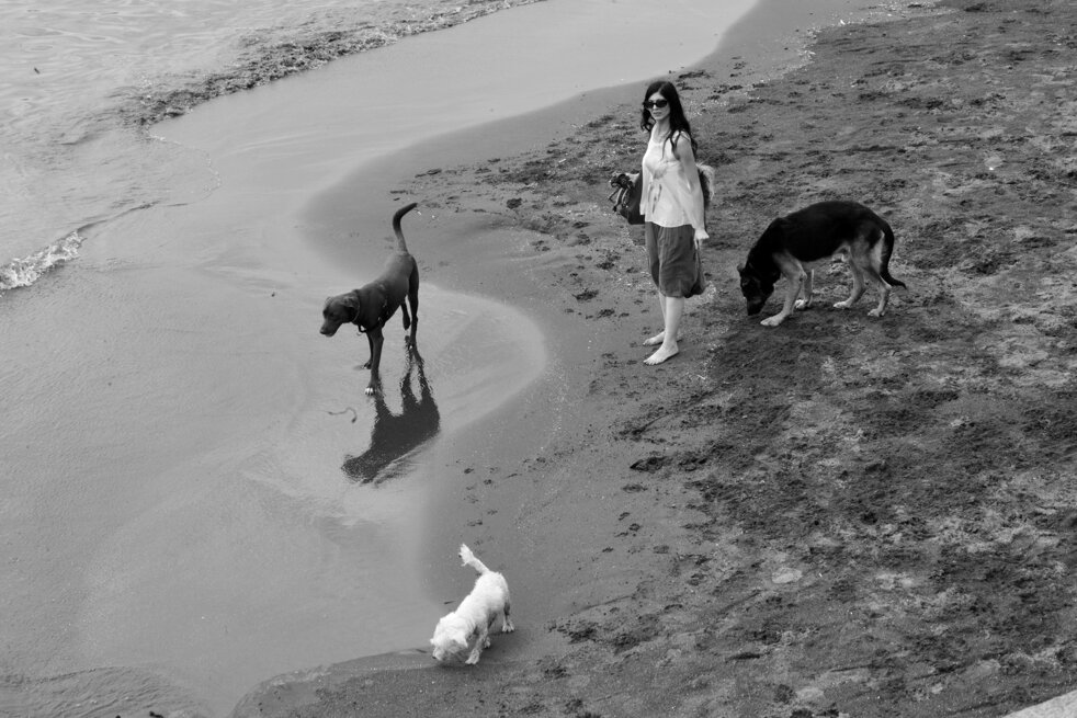 dog sitter, napoli 2018.jpeg
