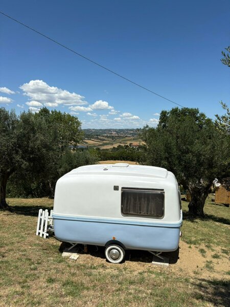 immagine whatsapp 2025-07-15 ore 11.42.51_373b9566.jpeg