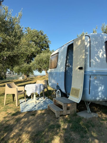 immagine whatsapp 2025-07-19 ore 09.46.02_d59b5319.jpeg