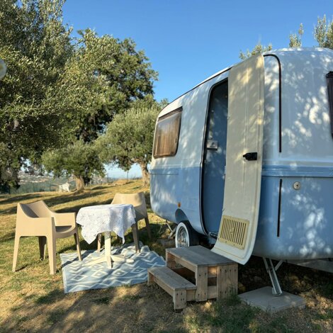 immagine%20whatsapp%202025-07-15%20ore%2011.42.51_373b9566.jpeg immagine%20whatsapp%202025-07-15%20ore%2011.42.51_373b9566.jpeg