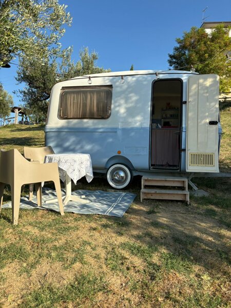 immagine whatsapp 2025-07-19 ore 09.46.02_d89e76a4.jpeg