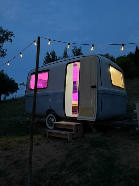 immagine whatsapp 2025-07-15 ore 16.13.51_8962388d.jpeg