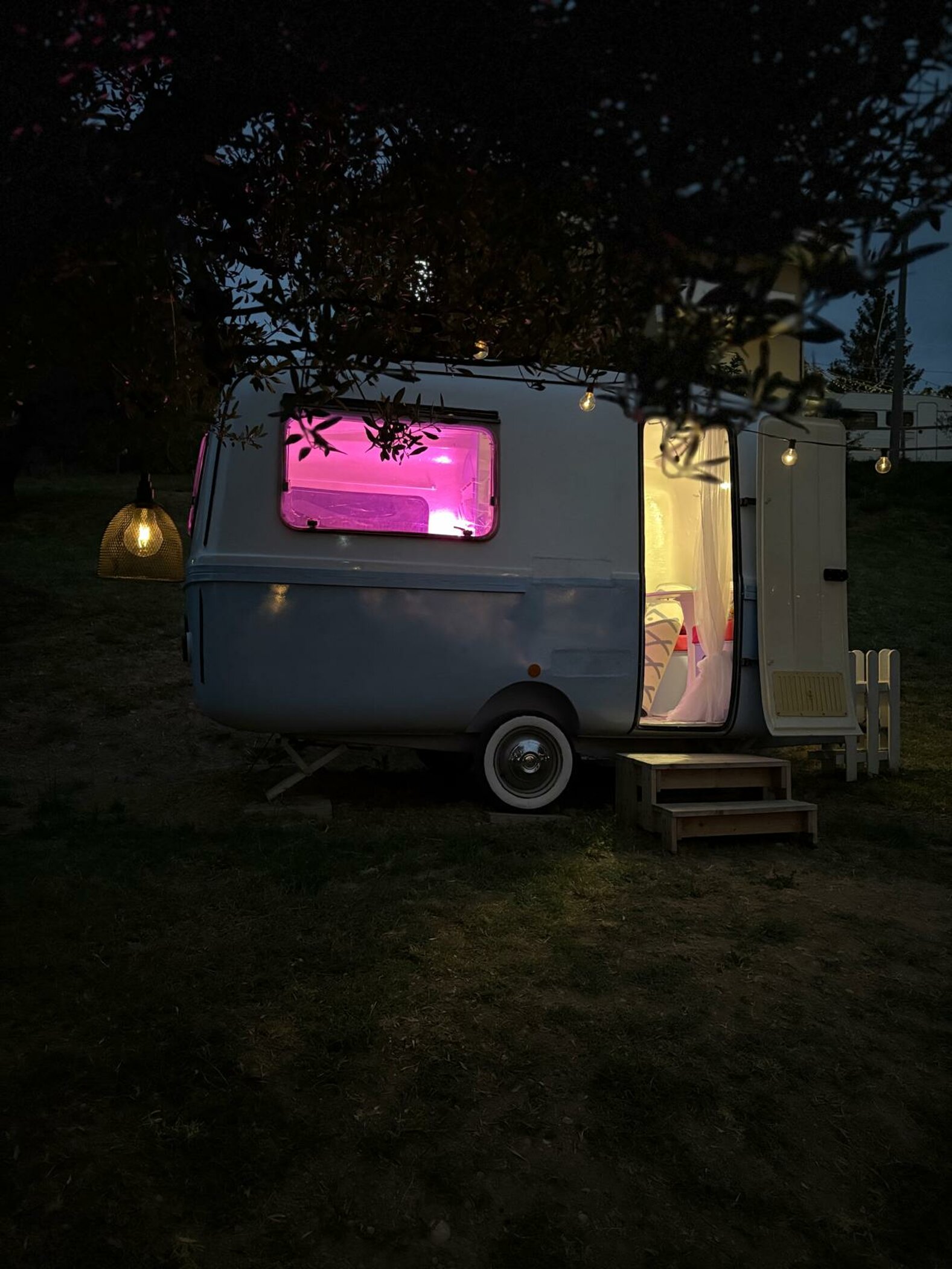 immagine whatsapp 2025-07-15 ore 16.13.51_0d30ca79.jpeg immagine whatsapp 2025-07-15 ore 16.13.51_0d30ca79.jpeg