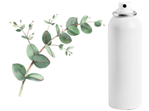 Shoe Deodorizer Spray