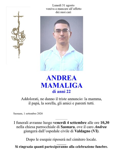 epigr.mamaliga andrea_page-0001.jpeg