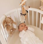 carillon-morbido-coniglio