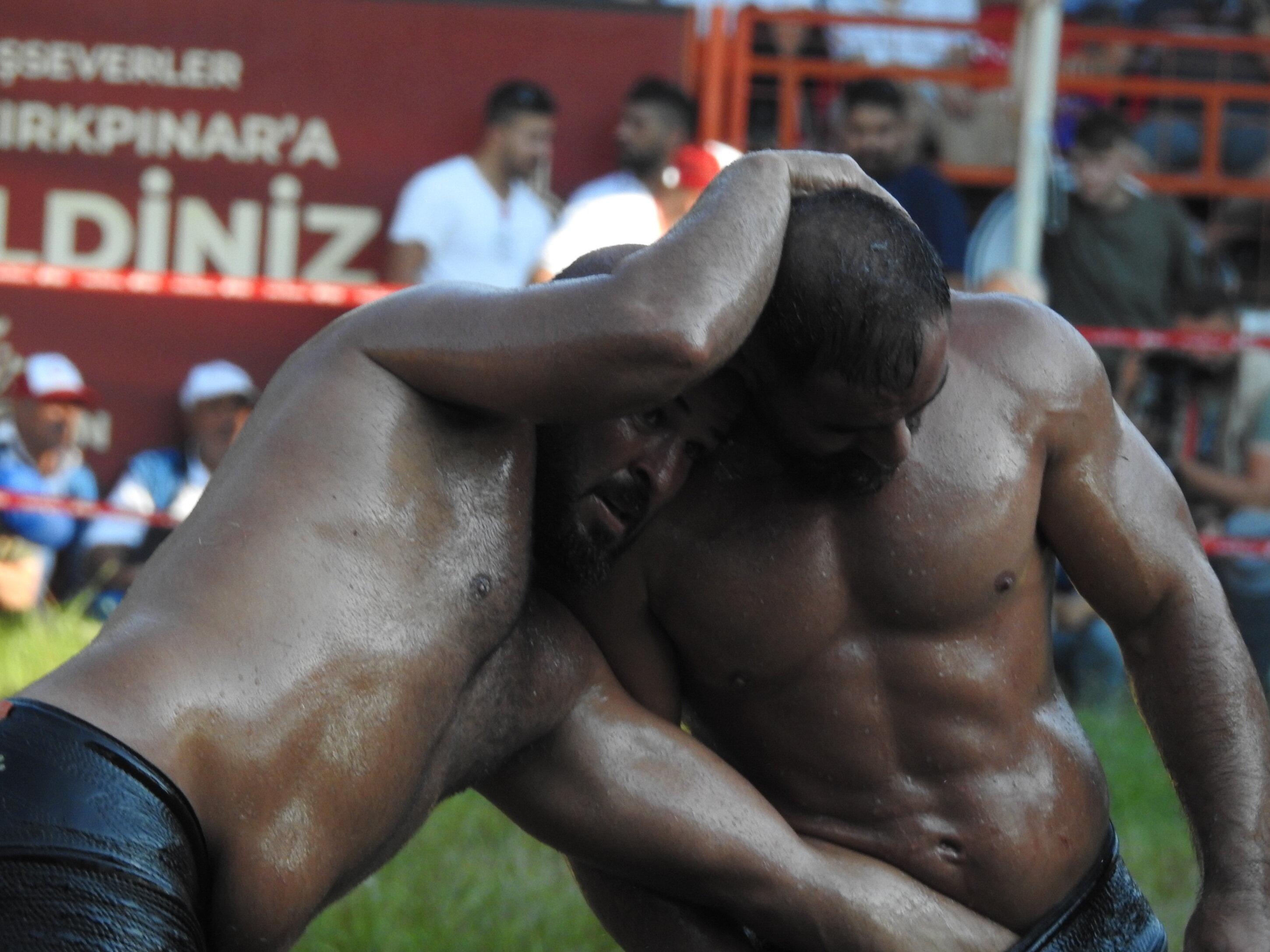 La lotta con l'olio, il torneo che da 664 ani infiamma la Turchia