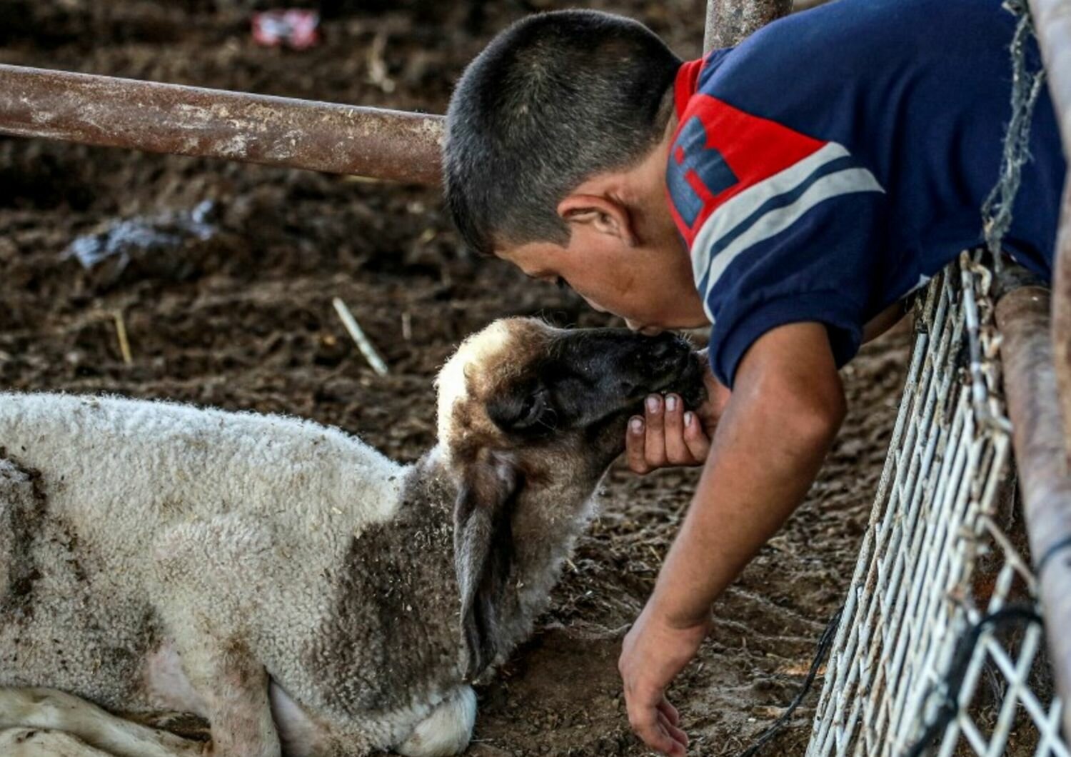 L'Eid Al-Adha, il giorno del sacrificio