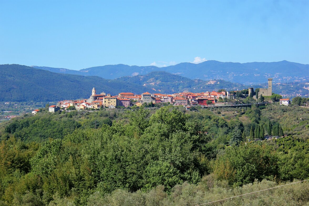 Fattoria Cristina Appartamenti per Vacanze - Vista panoramica su Castelnuovo Magra e la sua torre