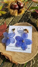 heart-delphinium