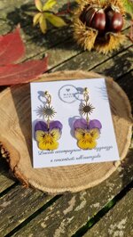 sun-pansy