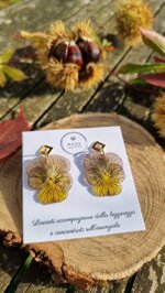 tiger-eye