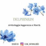 heart-delphinium