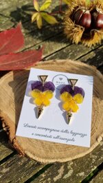 double-pansy-eye
