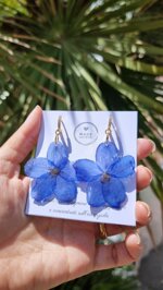 delphinium-blu