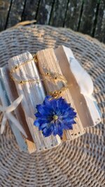 nigella-blue