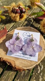 four-leaf-hydrangea
