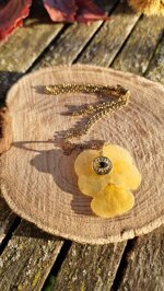 yellow-eye