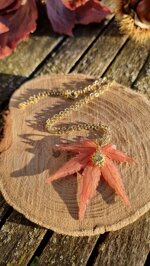 sun-maple