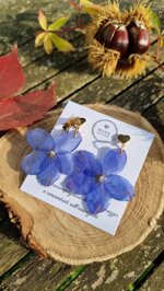 heart-delphinium