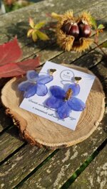 heart-delphinium