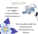 collana-aquilegia