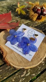heart-delphinium