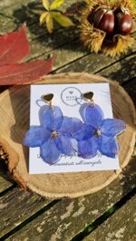heart-delphinium
