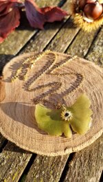 ginkgo-eye