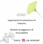 ginkgo-eye