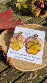 yellow-pansy