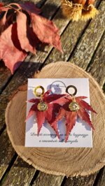eye-maple-o-ring