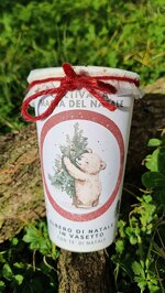 albero-di-natale-in-vasetto