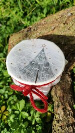 albero-di-natale-in-vasetto