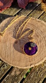 deep-pansy