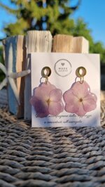 ortensia-rosa-light
