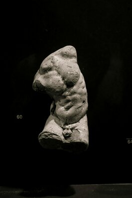 tronco.jpeg tronco.jpeg