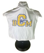 t-shirt-cheer