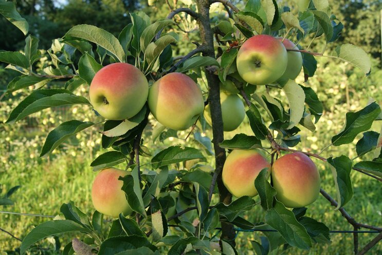 home_page_foto_2 copia.jpeg