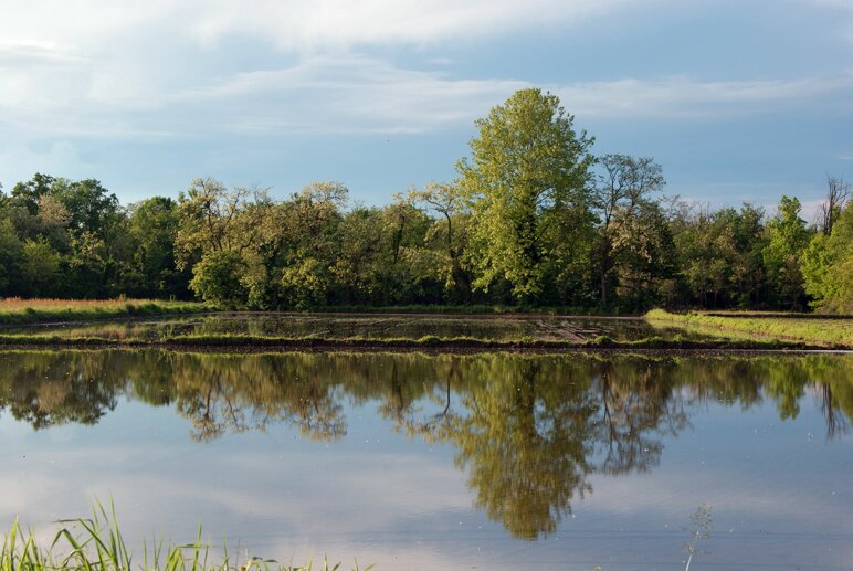 home_page_foto_1 copia.jpeg