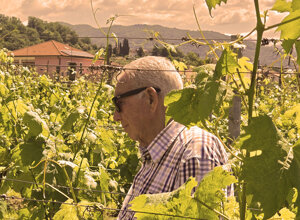 vigna%20antica.jpeg