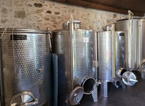 bottoglia%20vermentino.jpeg