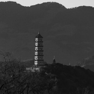 p1033074-migliorato-nr_1.jpeg