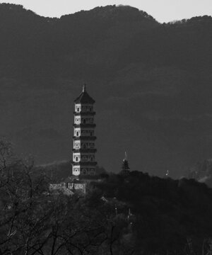 p1033043.jpeg