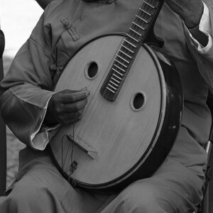 dsc08243.jpeg dsc08243.jpeg