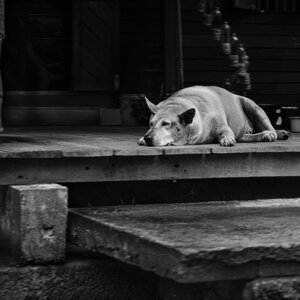 dscf6367.jpeg dscf6367.jpeg
